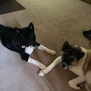 Meet your Posher, Jen